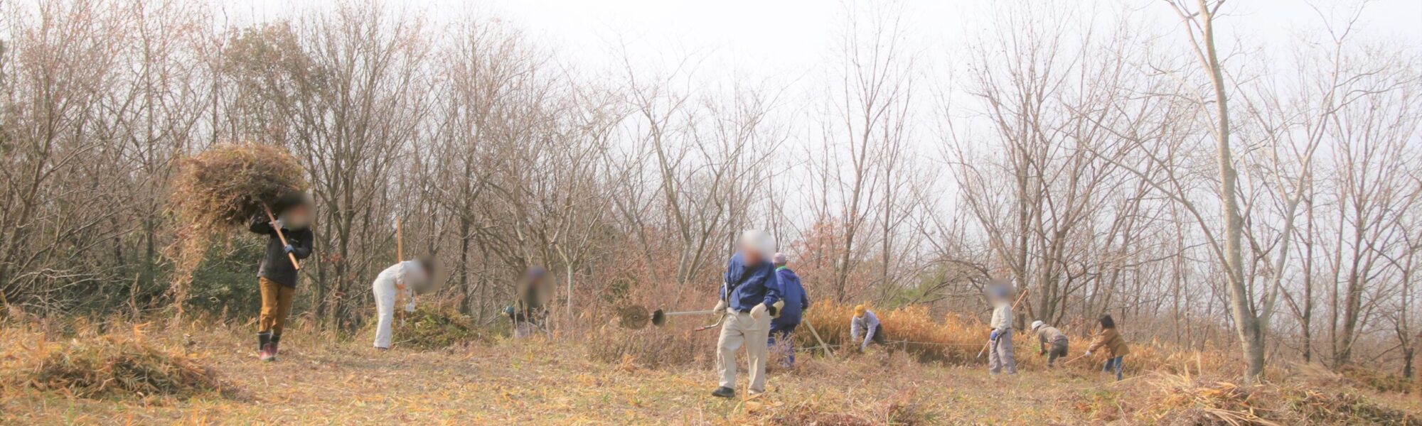 冬の公園の草刈り作業