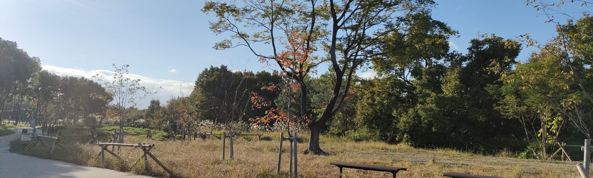 秋のふれあい広場